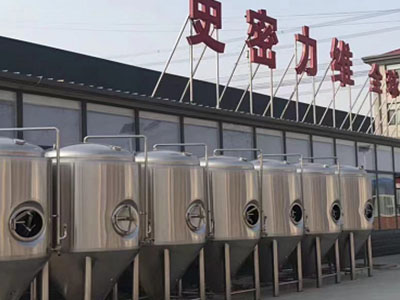 本溪精酿啤酒设备厂—如何判断精酿啤酒设备的密封件需要更换？
